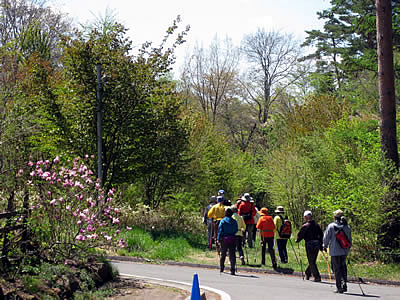 5月5日定例ウォーキング