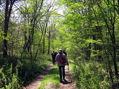 5月5日定例ウォーキング