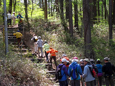 5月5日定例ウォーキング