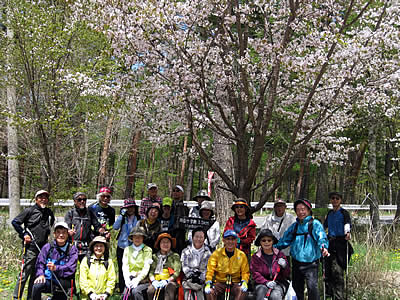 5月5日定例ウォーキング