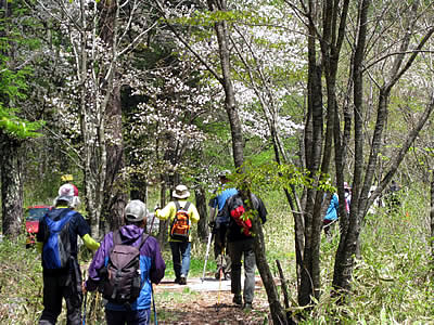 5月5日定例ウォーキング