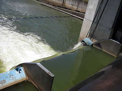 6月2日定例ウォーキング