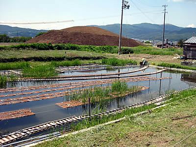6月2日定例ウォーキング