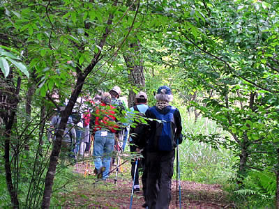 7月7日定例ウォーキング