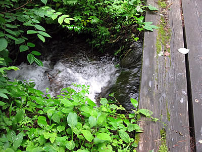 7月7日定例ウォーキング