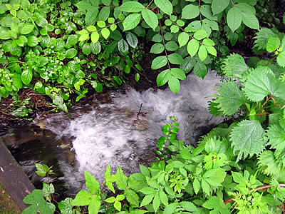 7月7日定例ウォーキング