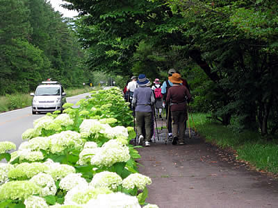 7月7日定例ウォーキング