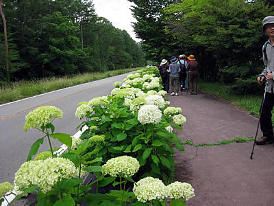 7月7日定例ウォーキング