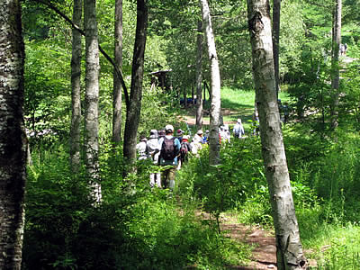 8月4日定例ウォーキング