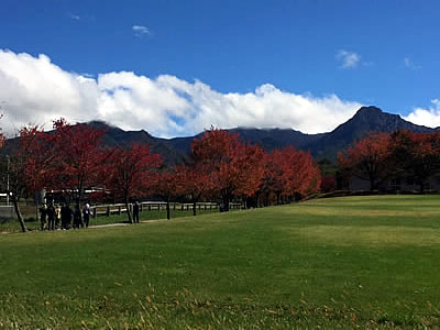 10月6日定例ウォーキング