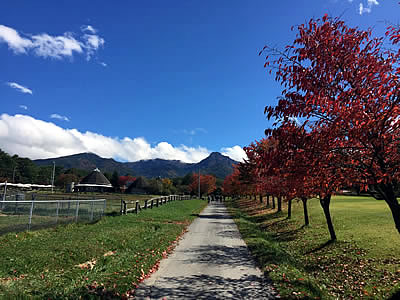 10月6日定例ウォーキング