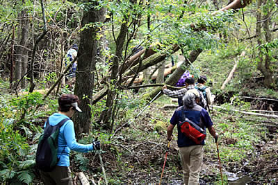 10月6日定例ウォーキング