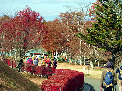 11月3日定例ウォーキング