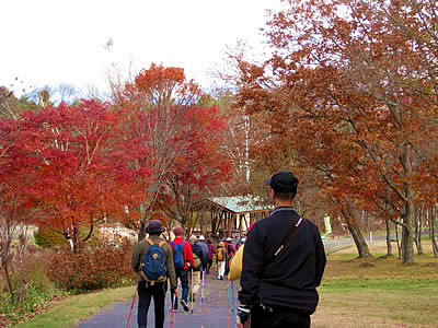 11月3日定例ウォーキング