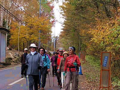 11月3日定例ウォーキング
