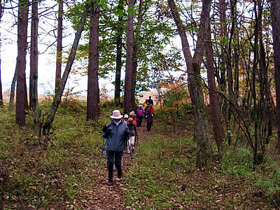 11月3日定例ウォーキング