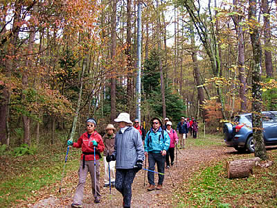 11月3日定例ウォーキング
