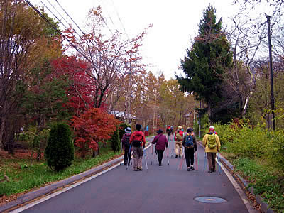 11月3日定例ウォーキング