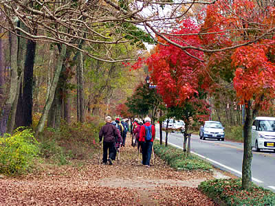 11月3日定例ウォーキング