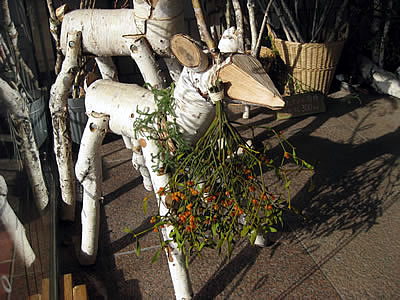 12月1日定例ウォーキング