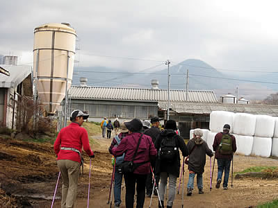 12月1日定例ウォーキング