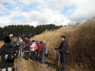 12月1日定例ウォーキング