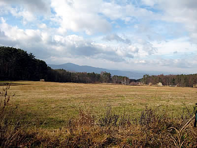 12月1日定例ウォーキング