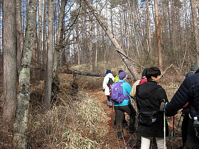 1月5日定例ウォーキング