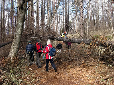 1月5日定例ウォーキング