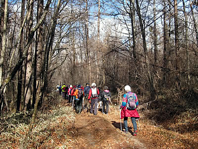 1月5日定例ウォーキング