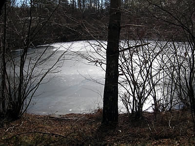 1月5日定例ウォーキング