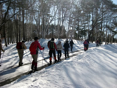 2月2日定例ウォーキング