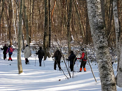 2月2日定例ウォーキング