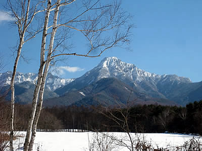 2月2日定例ウォーキング