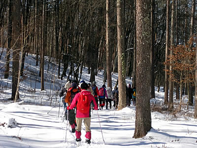 2月2日定例ウォーキング