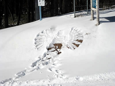 2月2日定例ウォーキング