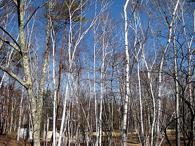 3月2日定例ウォーキング