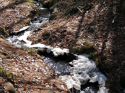 3月2日定例ウォーキング