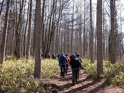 3月2日定例ウォーキング