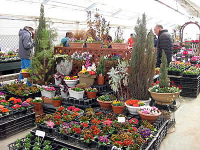 3月2日定例ウォーキング