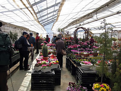 3月2日定例ウォーキング