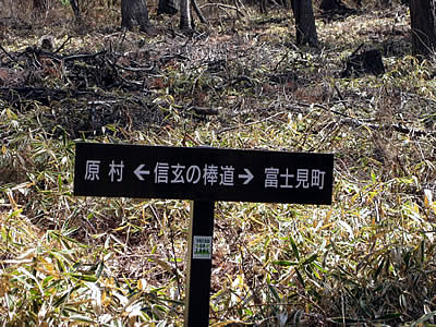 4月6日定例ウォーキング