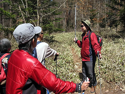 4月6日定例ウォーキング