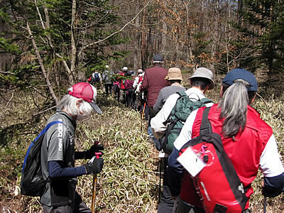 4月6日定例ウォーキング