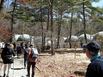 4月6日定例ウォーキング