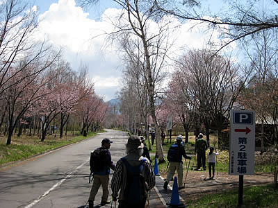 5月4日定例ウォーキング