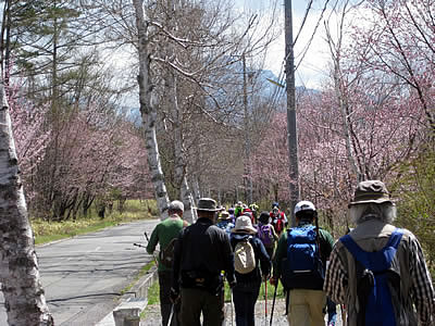 5月4日定例ウォーキング