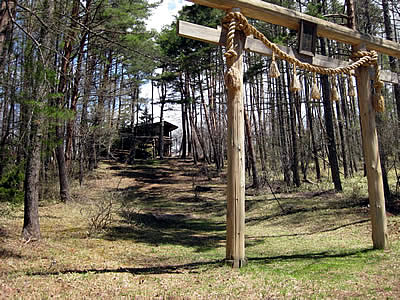 5月4日定例ウォーキング