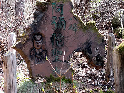 5月4日定例ウォーキング