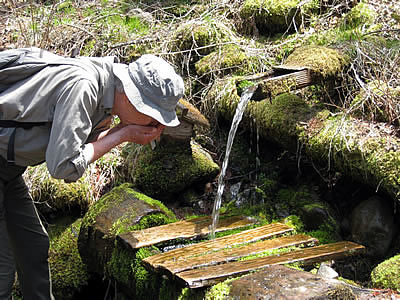 5月4日定例ウォーキング